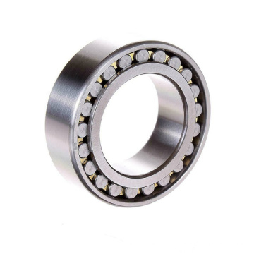 High Precision Low Noise NN3019MBKRCC1P5 Double Row NN3019 Cylindrical Roller Bearing